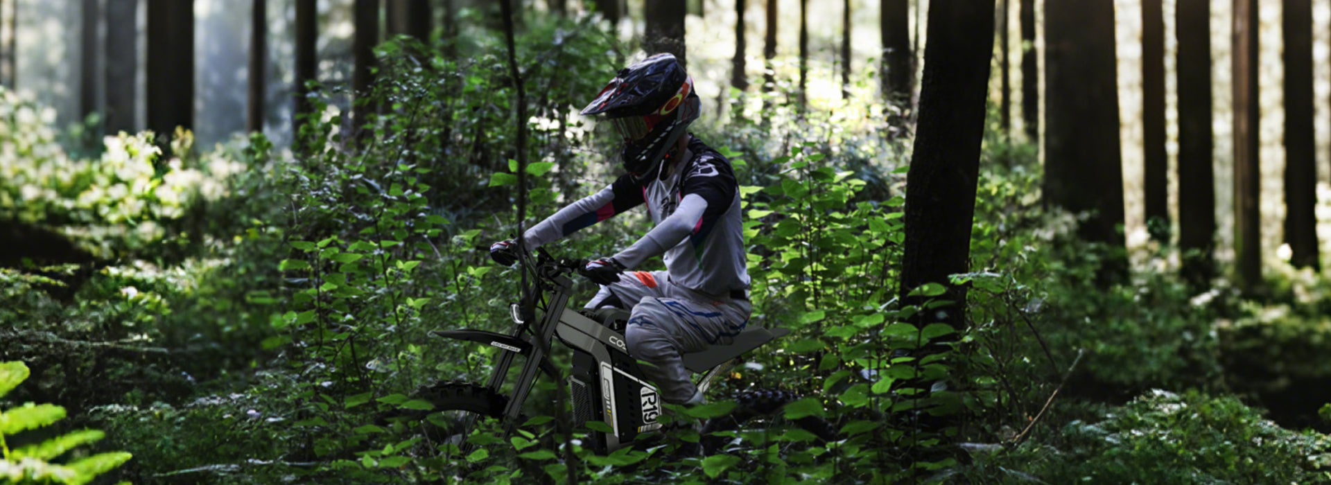 Dirt Ebike