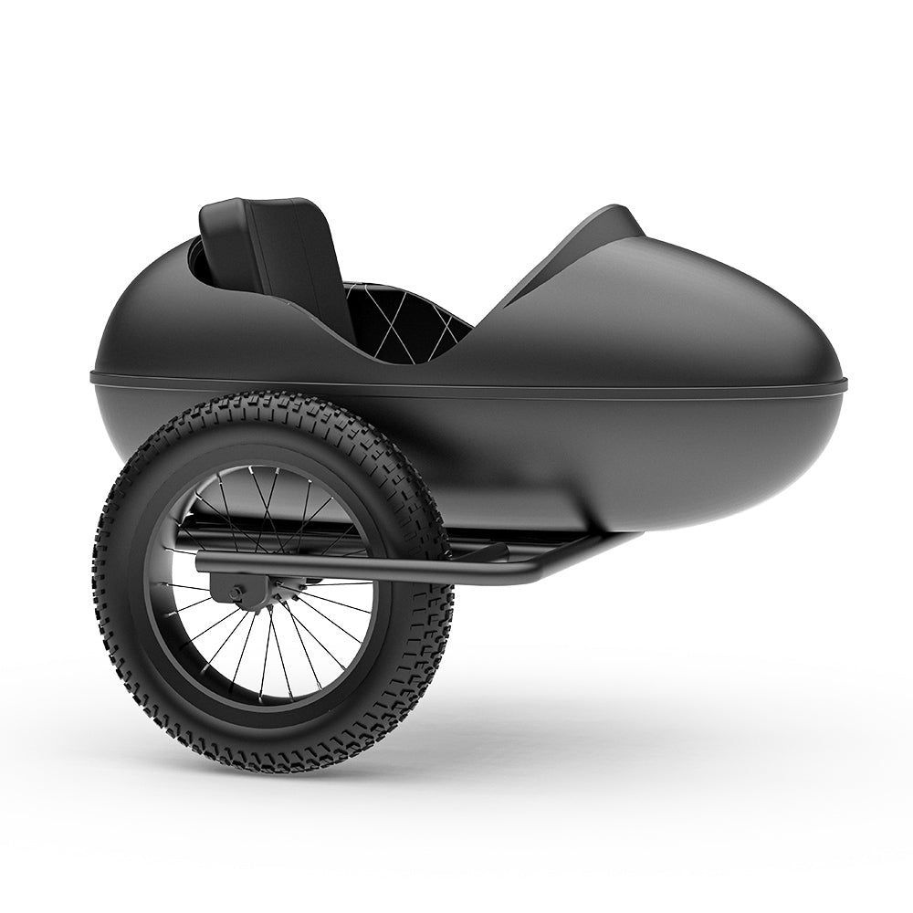 CT20 CT20S Sidecar