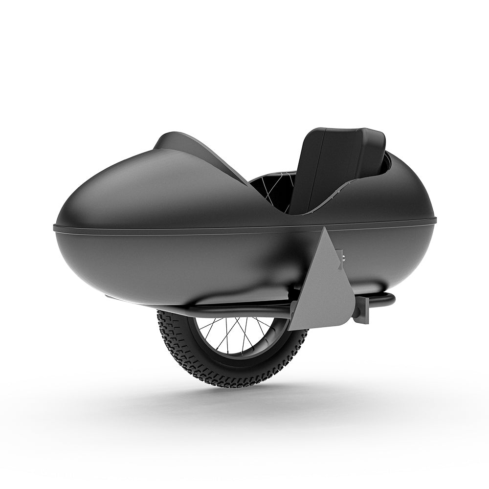 CT20 CT20S Sidecar