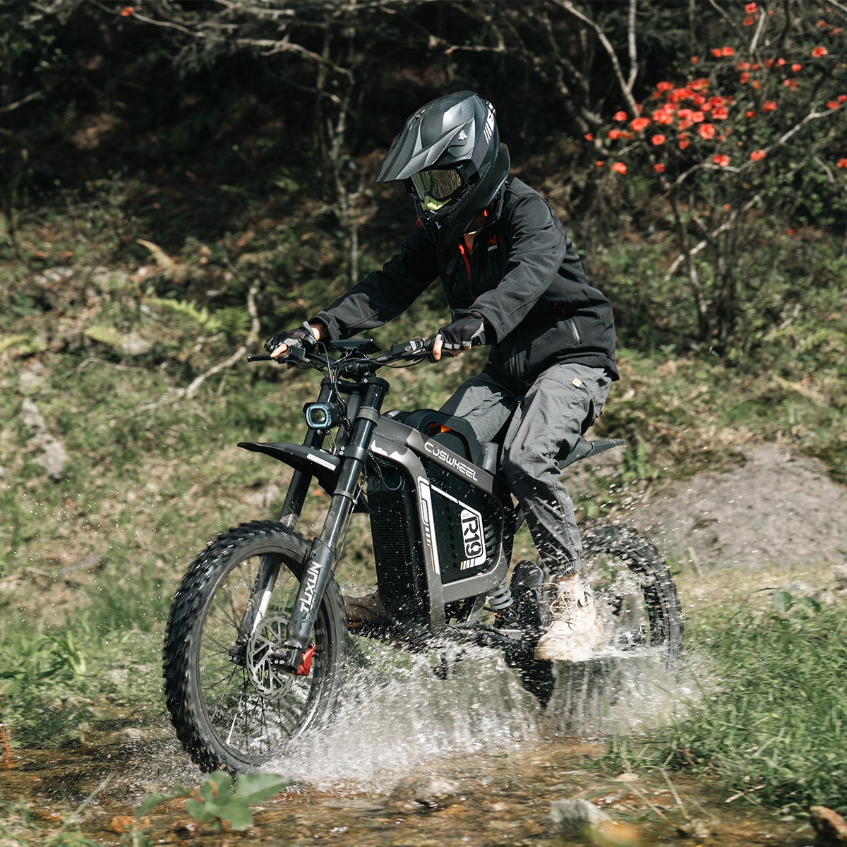 Coswheel R19 Electric Dirt Bike