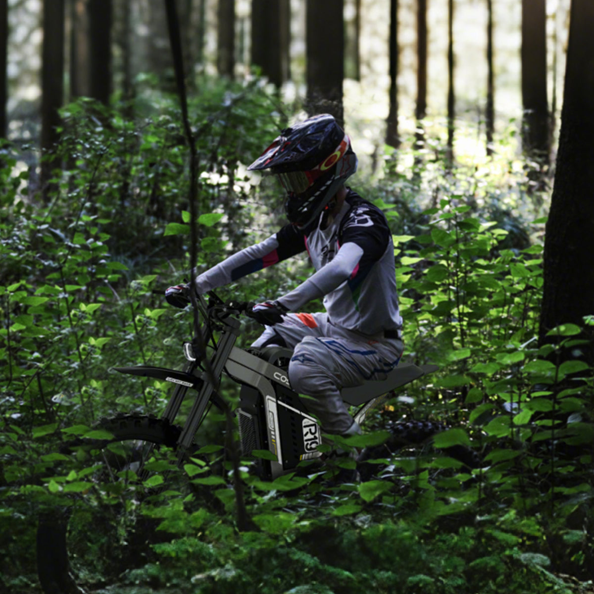 Coswheel R19 Electric Dirt Bike