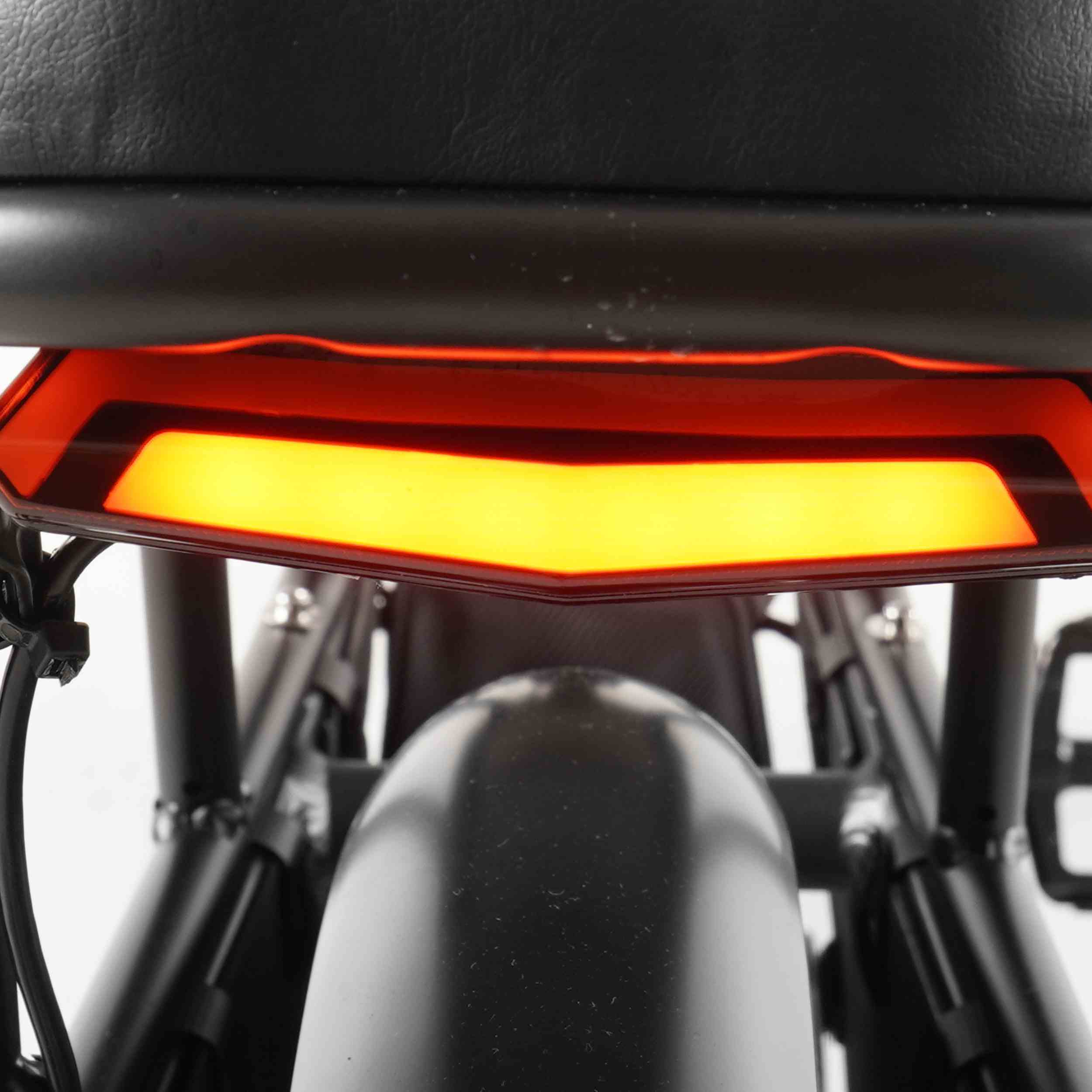 Coswheel HQ20 Electric Cargo Bike🎅🎄🦌🛷