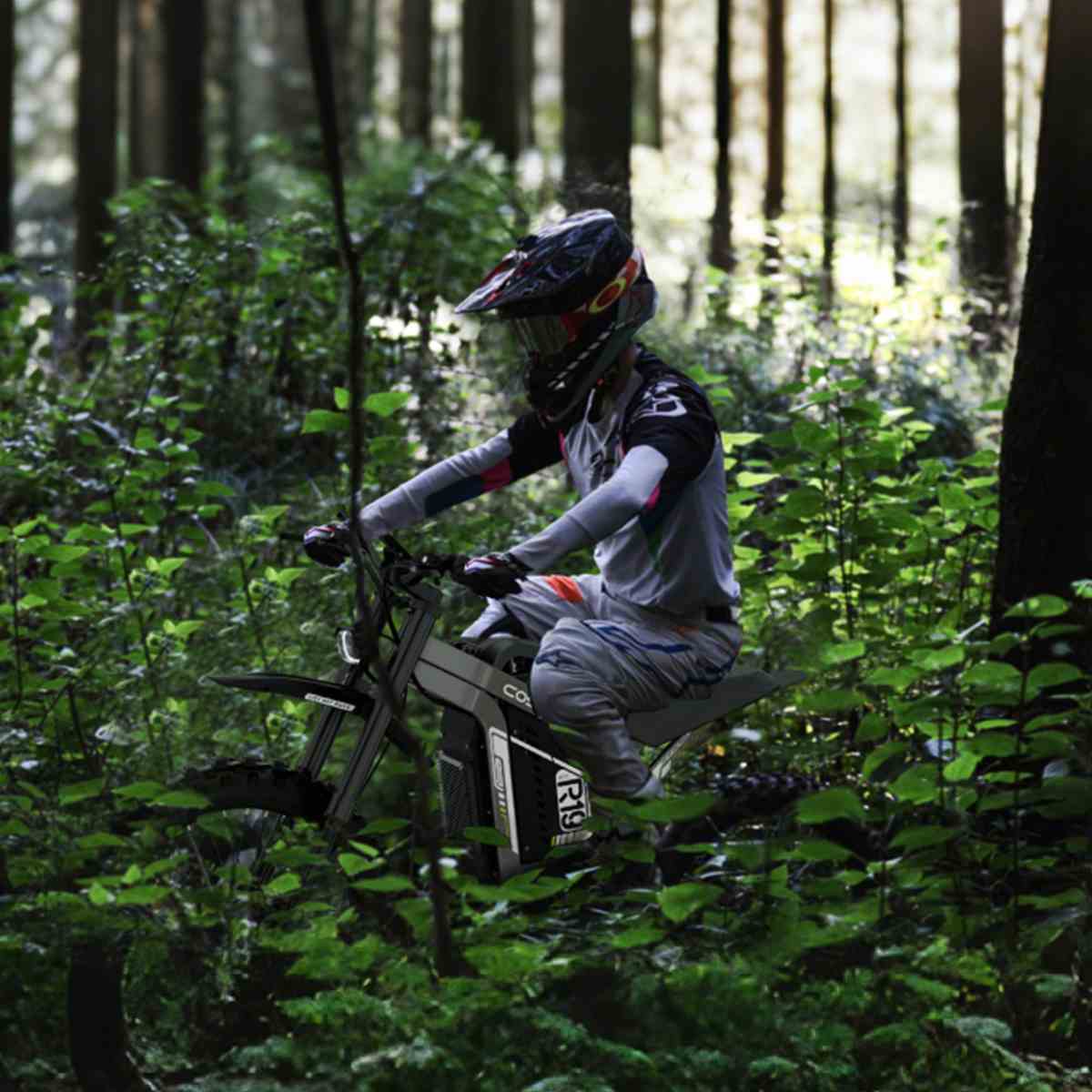 Coswheel R19 Electric Dirt Bike🎄🦌