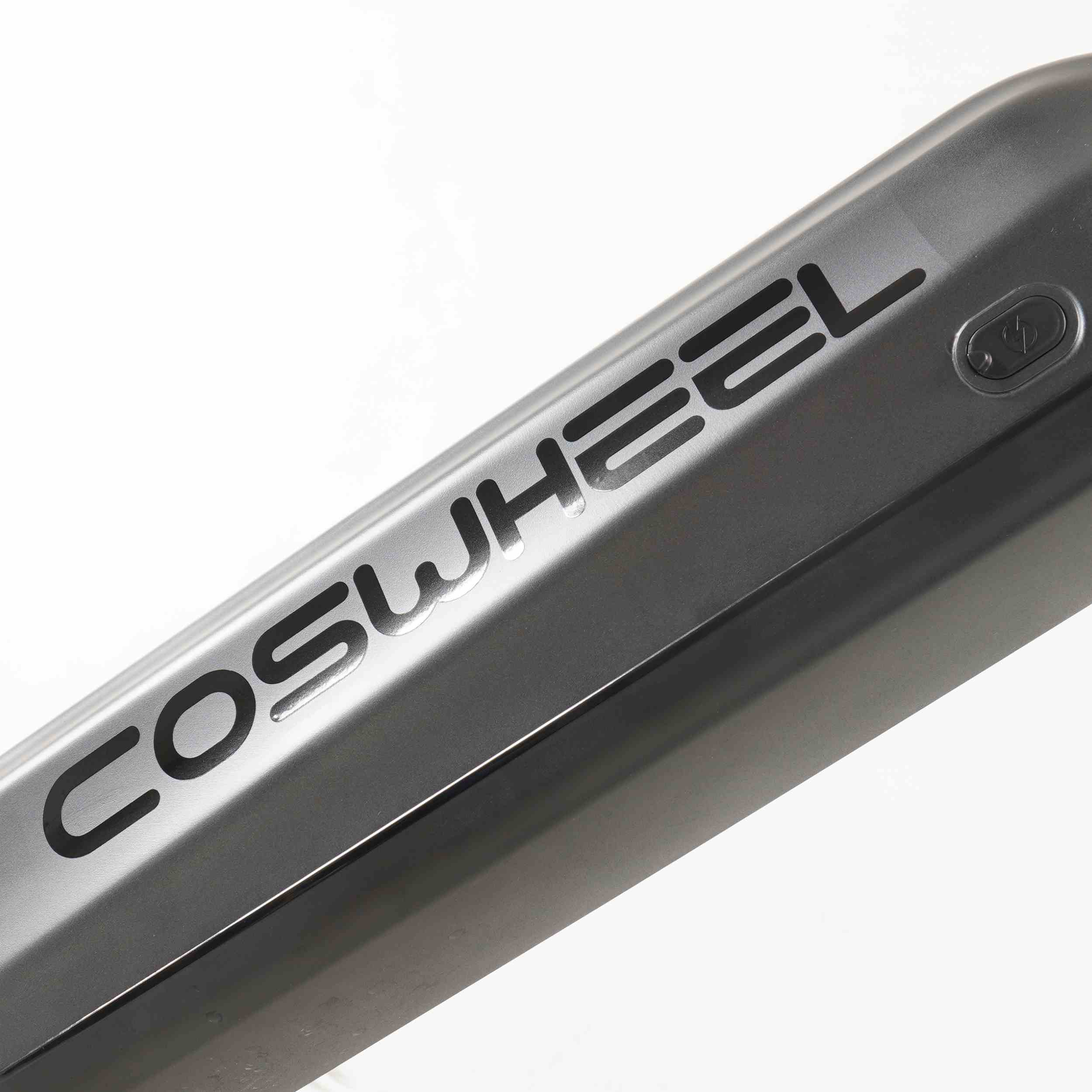 Coswheel HQ20 Electric Cargo Bike🎅🎄🦌🛷