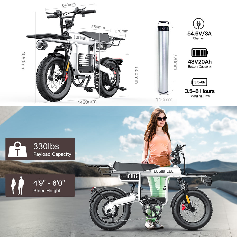 Coswheel T16