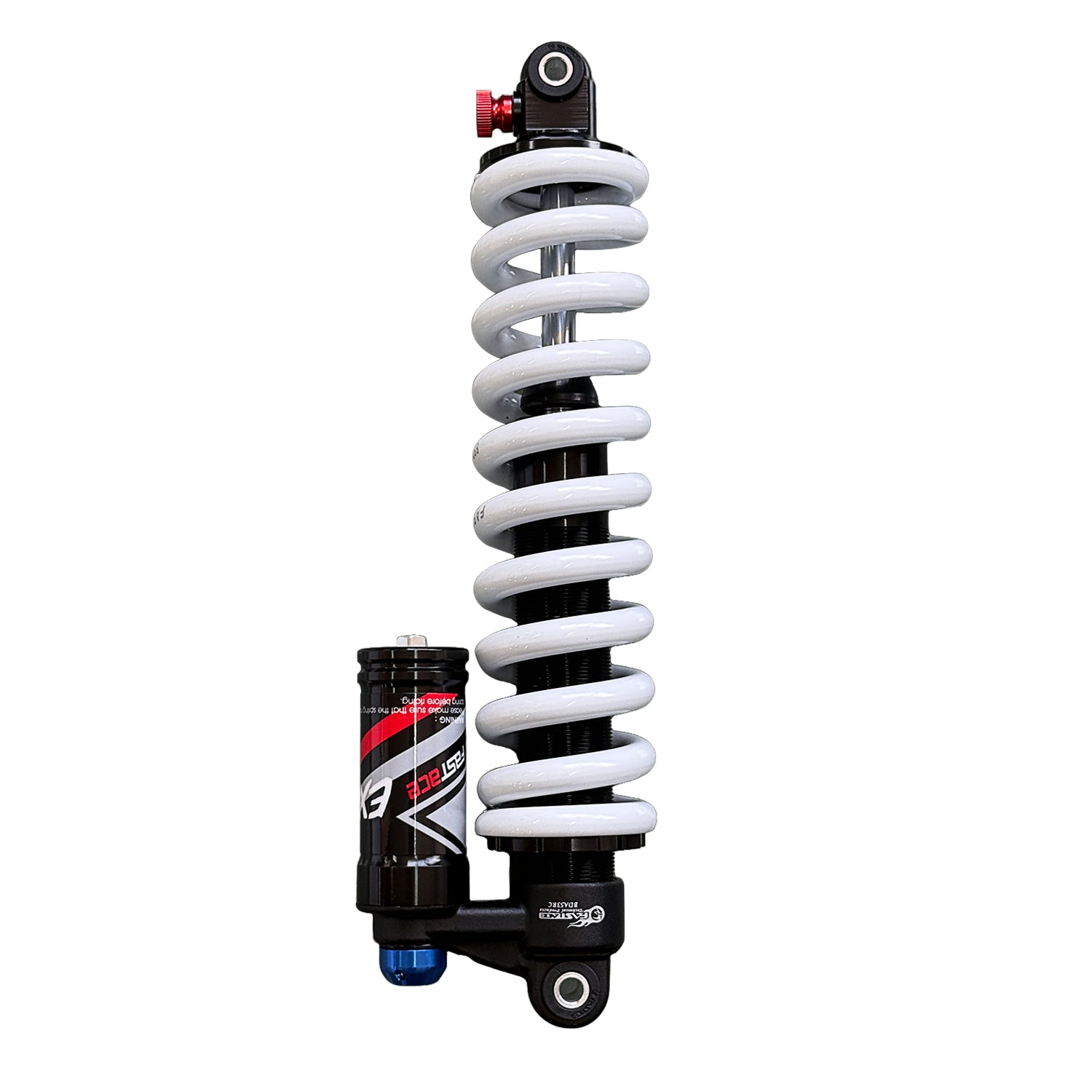 R19 Rear shock absorber