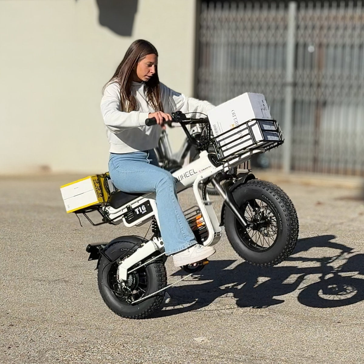 Coswheel T16🎄🦌