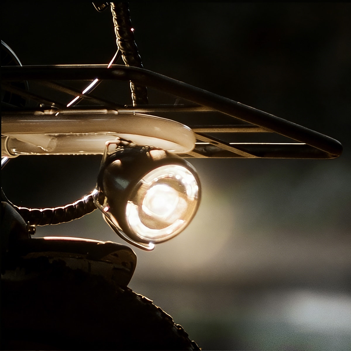 Coswheel T16🎄🦌