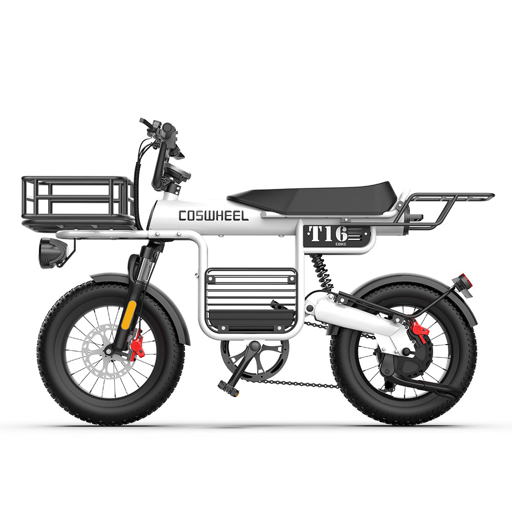 Coswheel T16