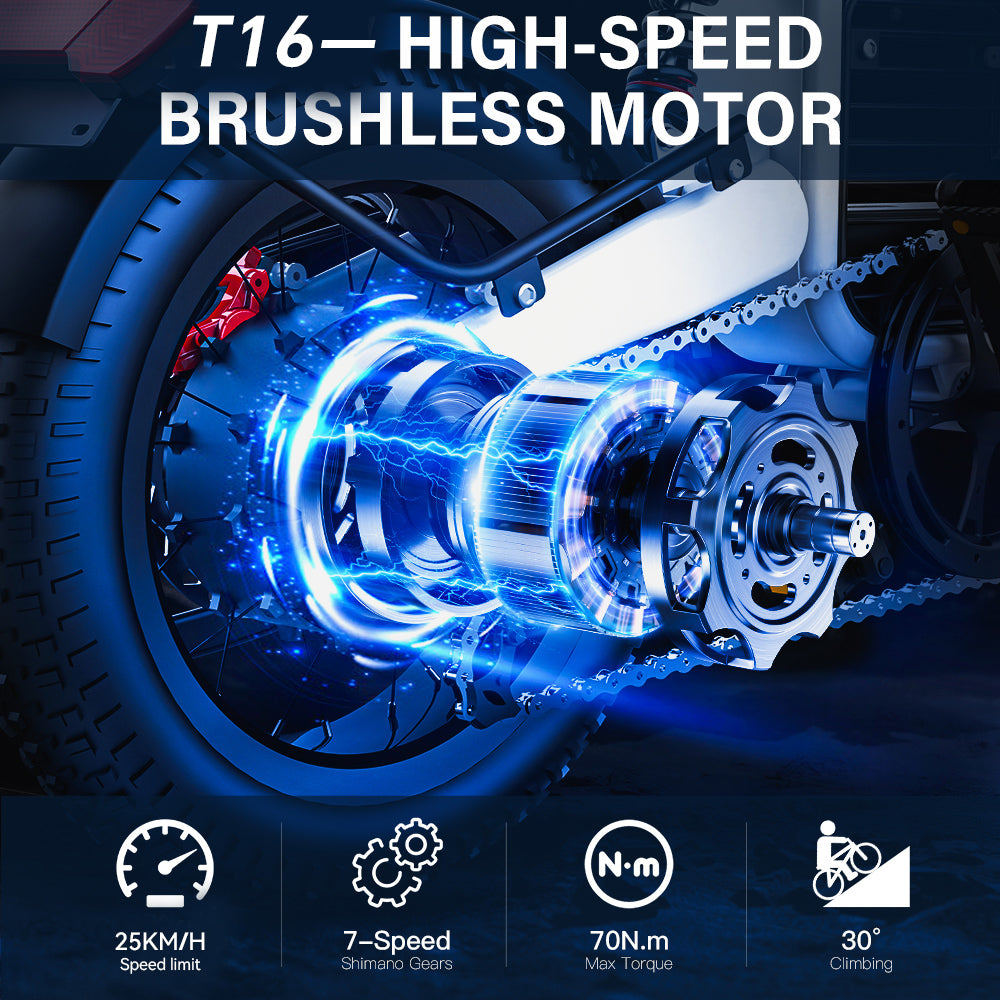 Coswheel T16
