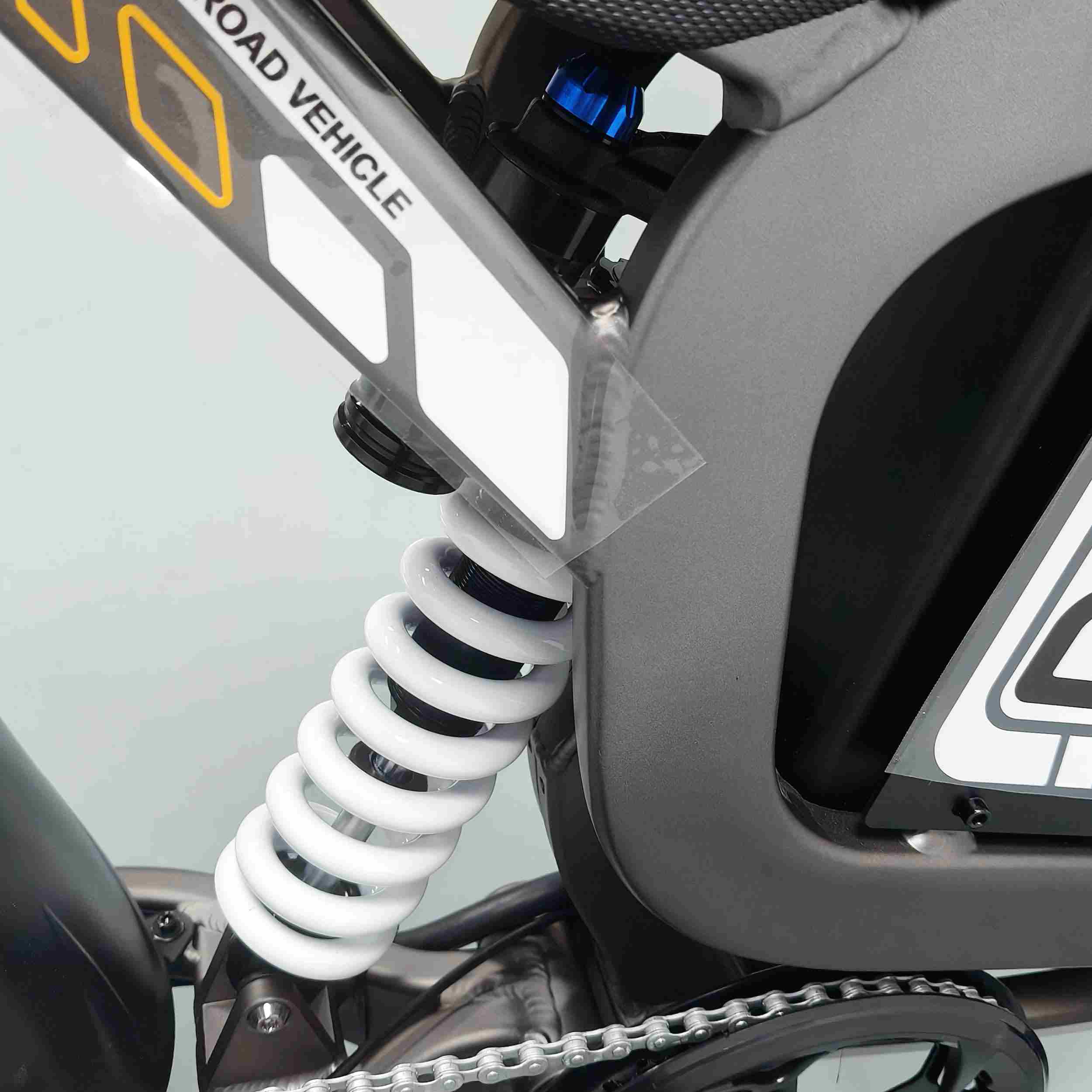 R19 Rear shock absorber