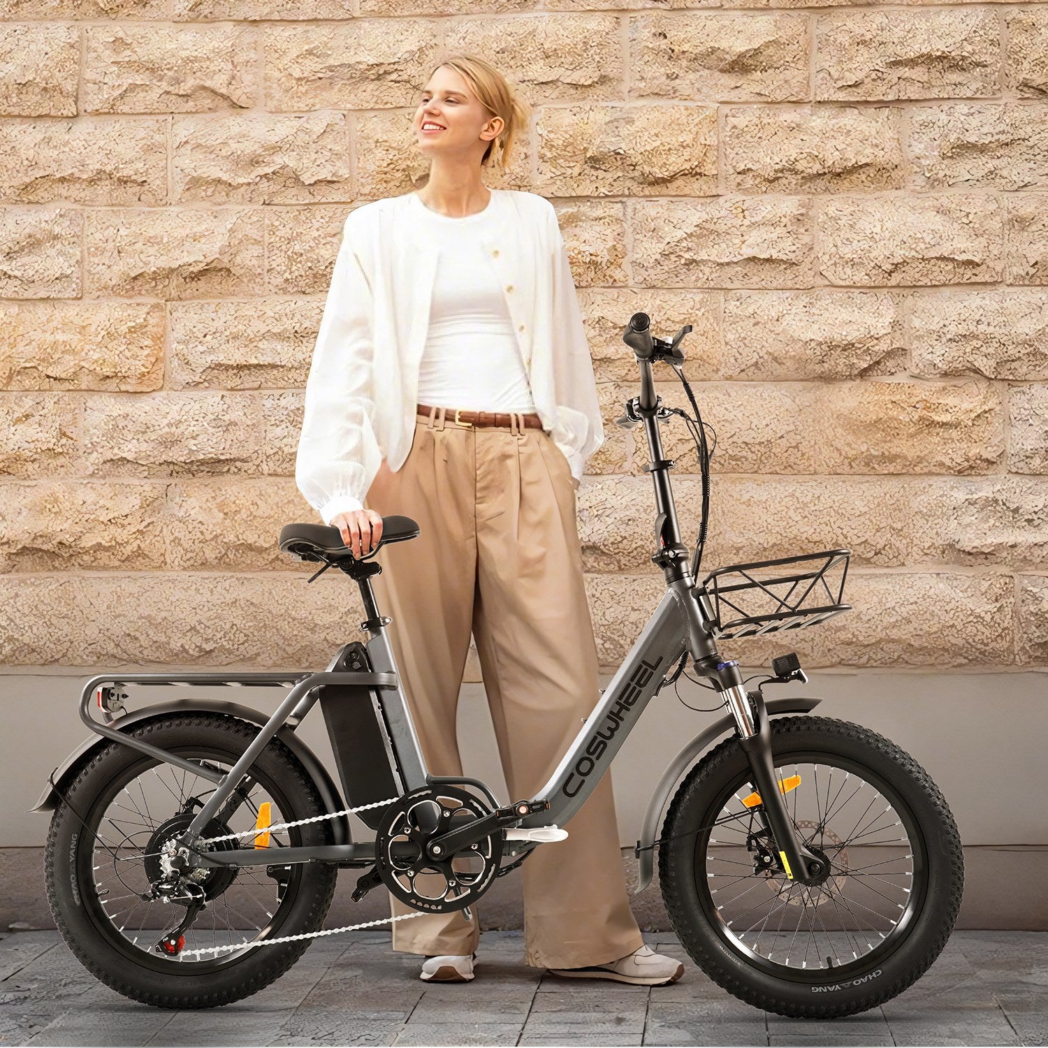 Coswheel Y20L Electric Folding Bike🎅🎄🦌🛷