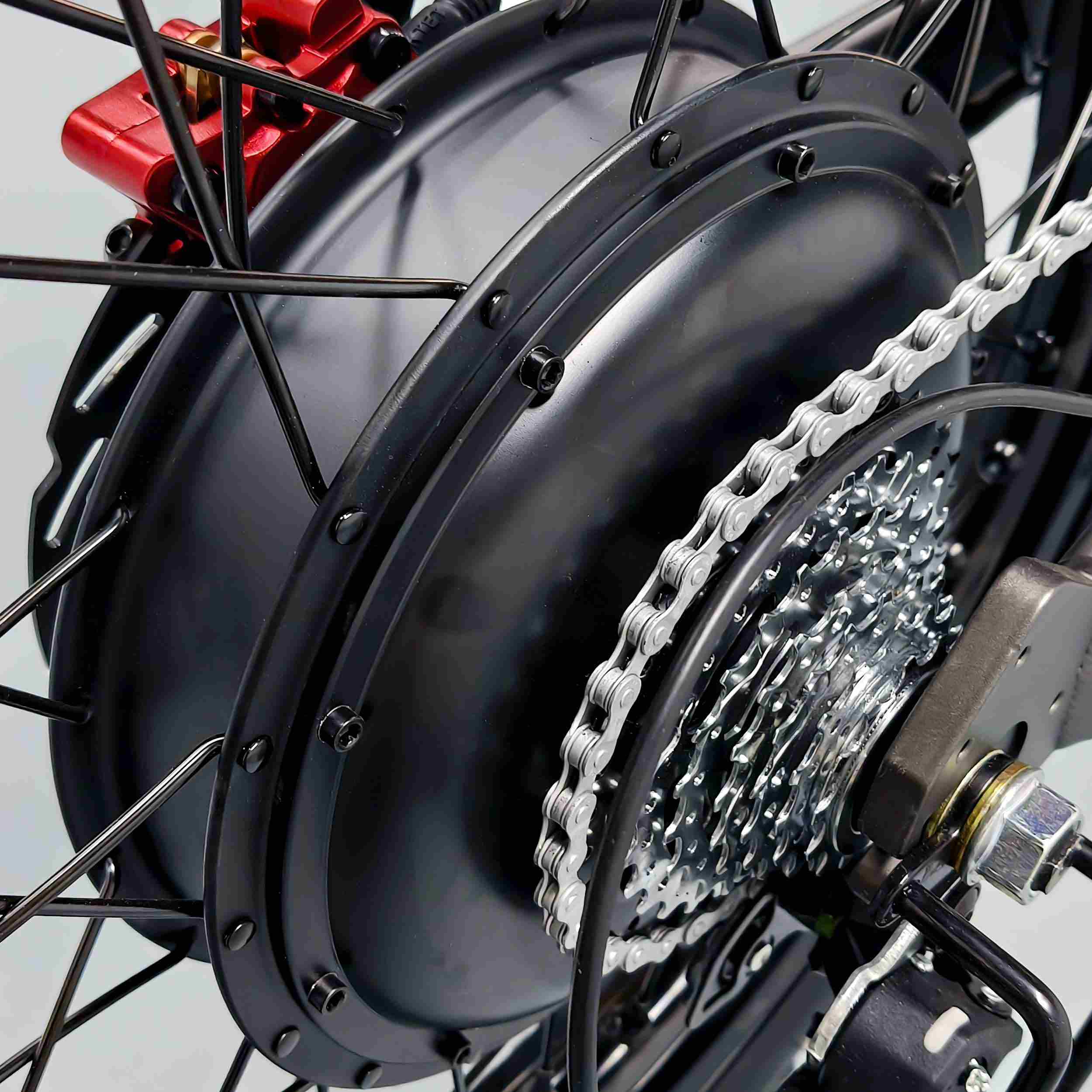 Coswheel R19 Electric Dirt Bike🦌