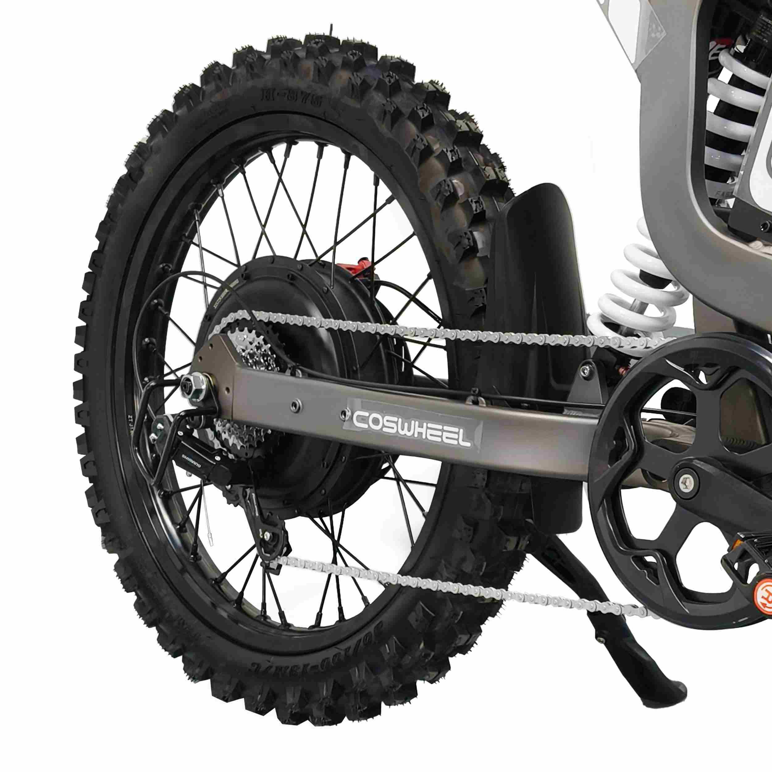 Coswheel R19 Electric Dirt Bike🦌