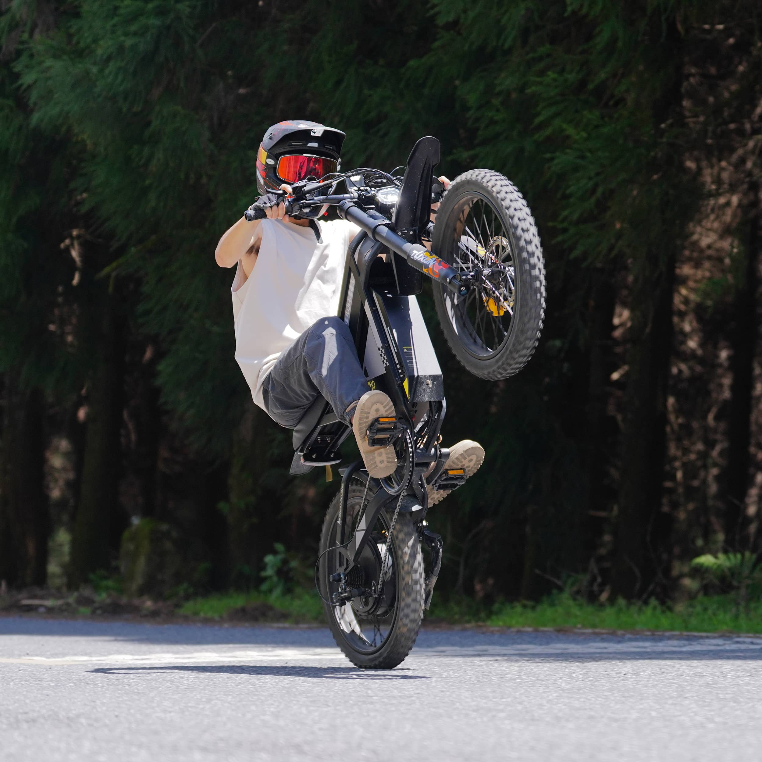 Coswheel R6000
