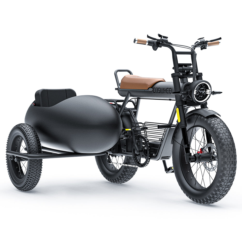 CT20S CT20 Electric Bike Sidecar