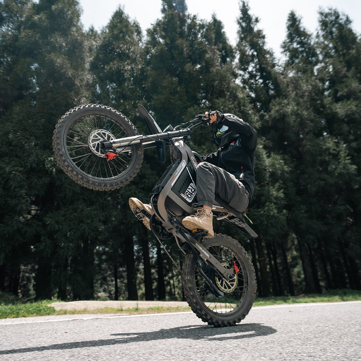 Coswheel R19 Electric Dirt Bike