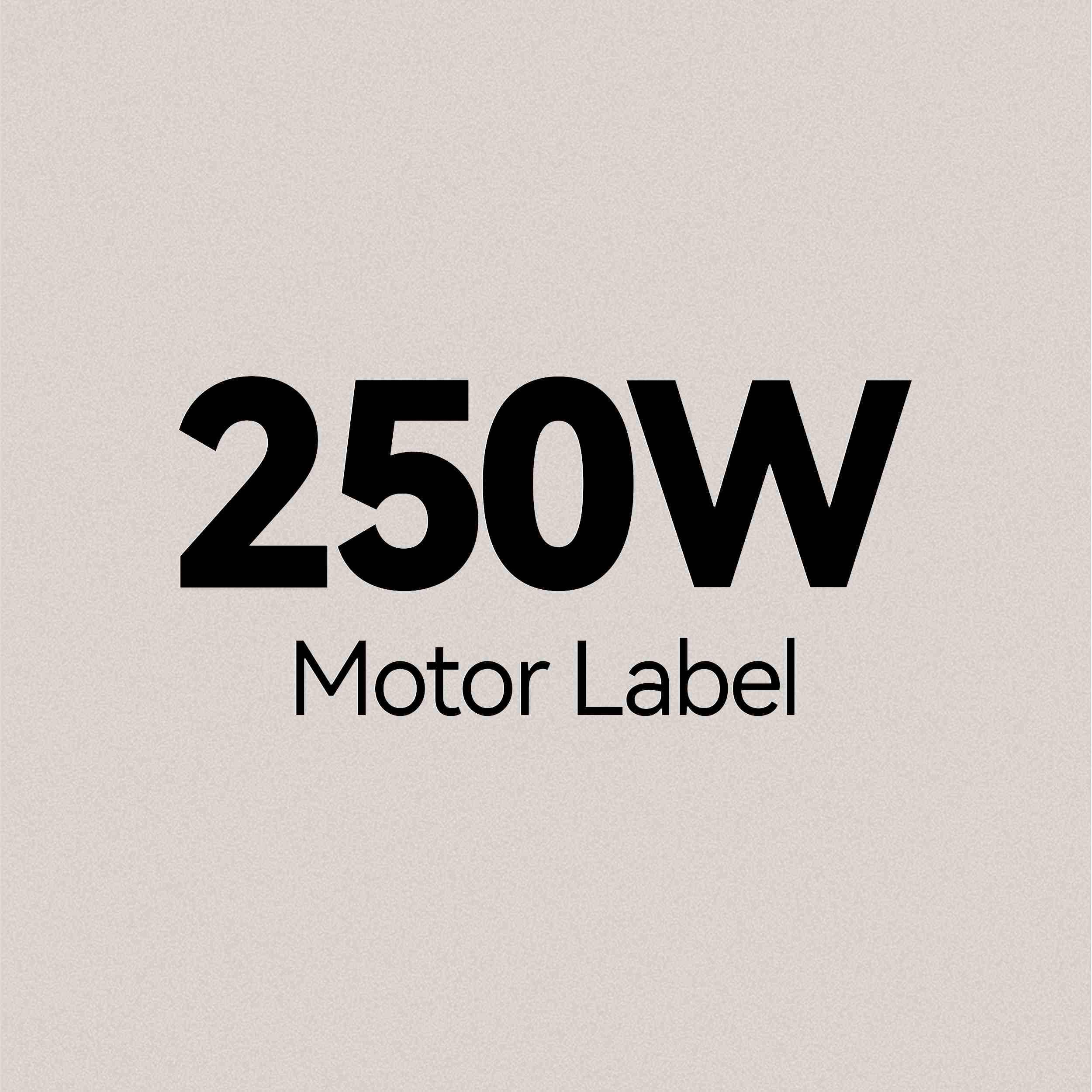 coswheel-250w-motor-label