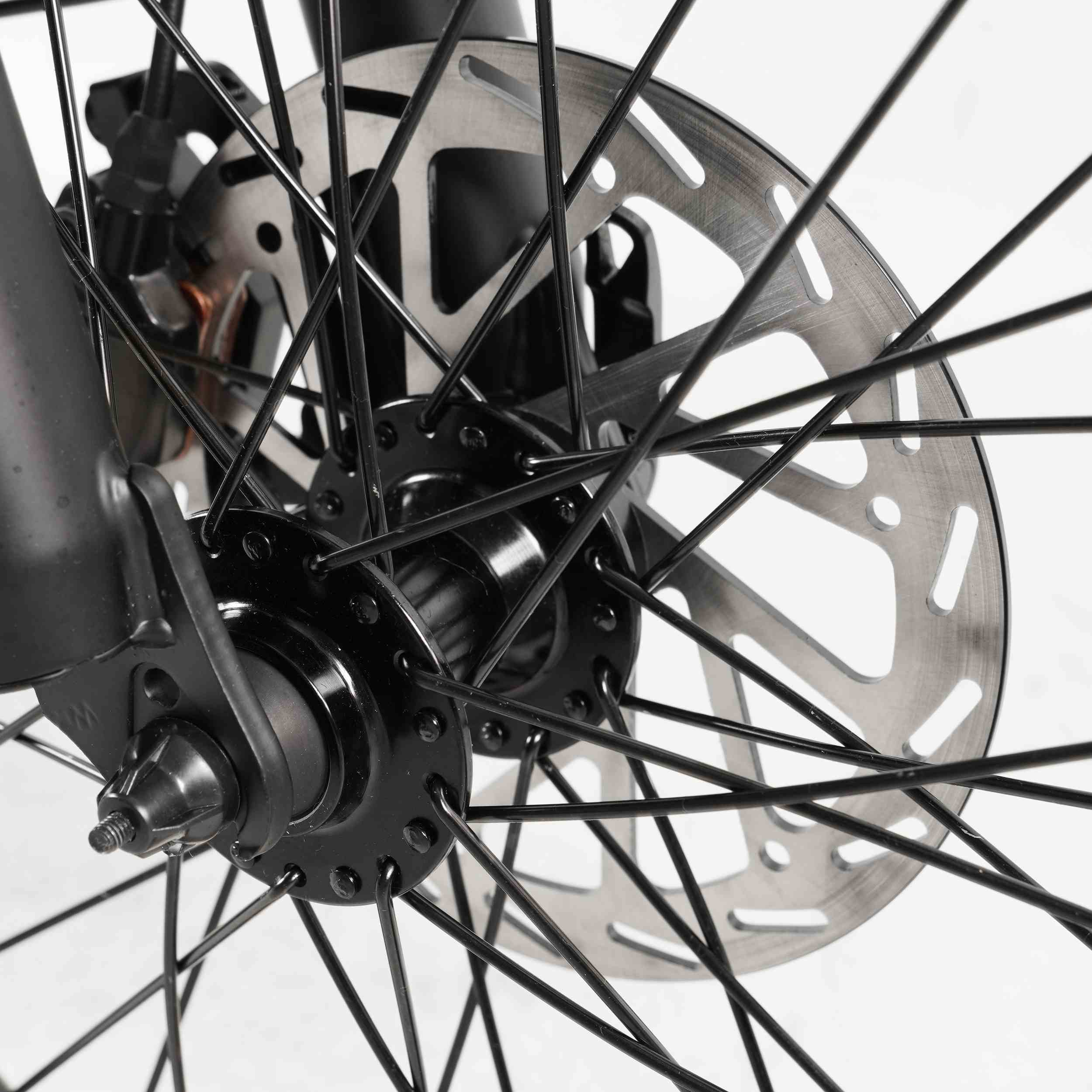 Coswheel HQ20 Electric Cargo Bike