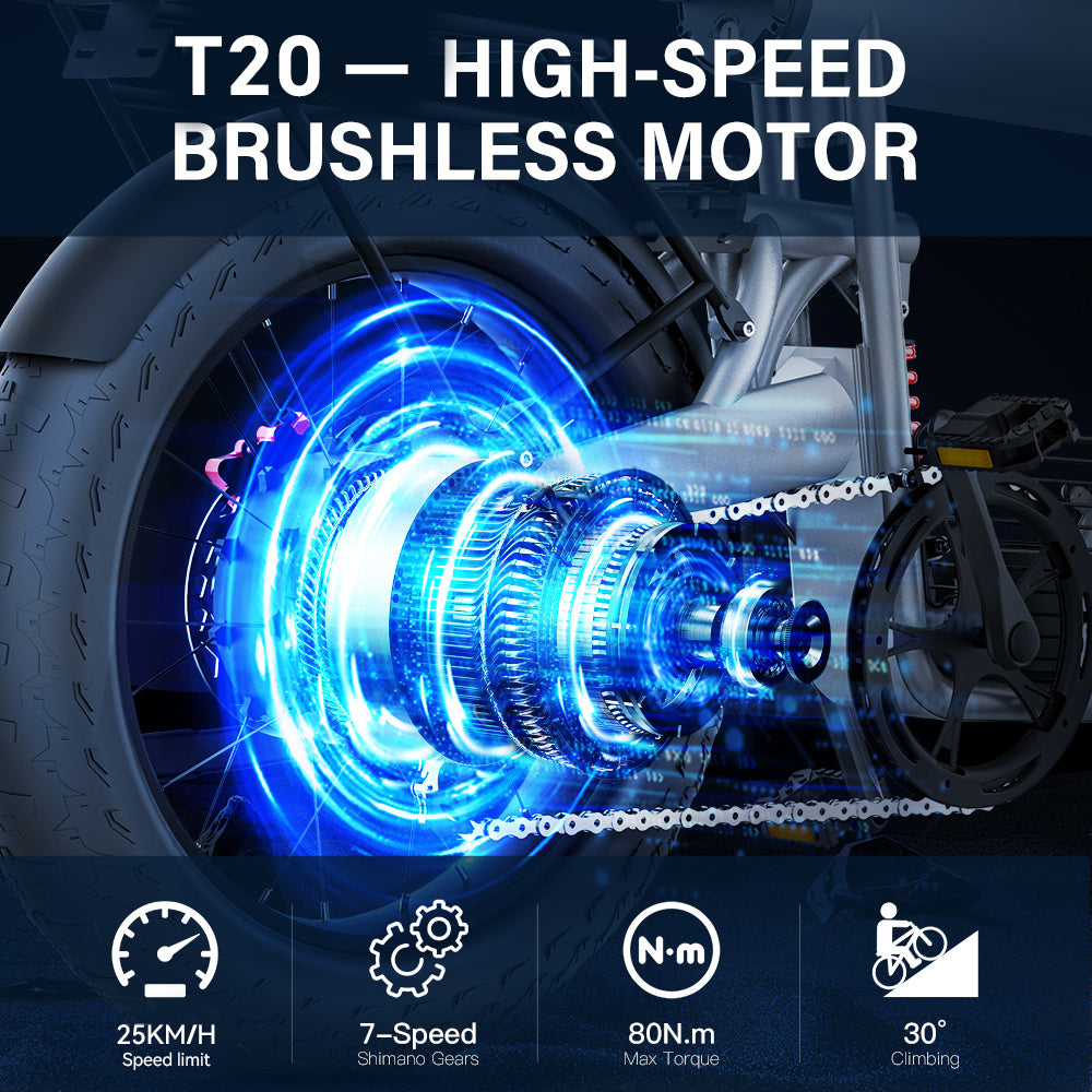 Coswheel T20